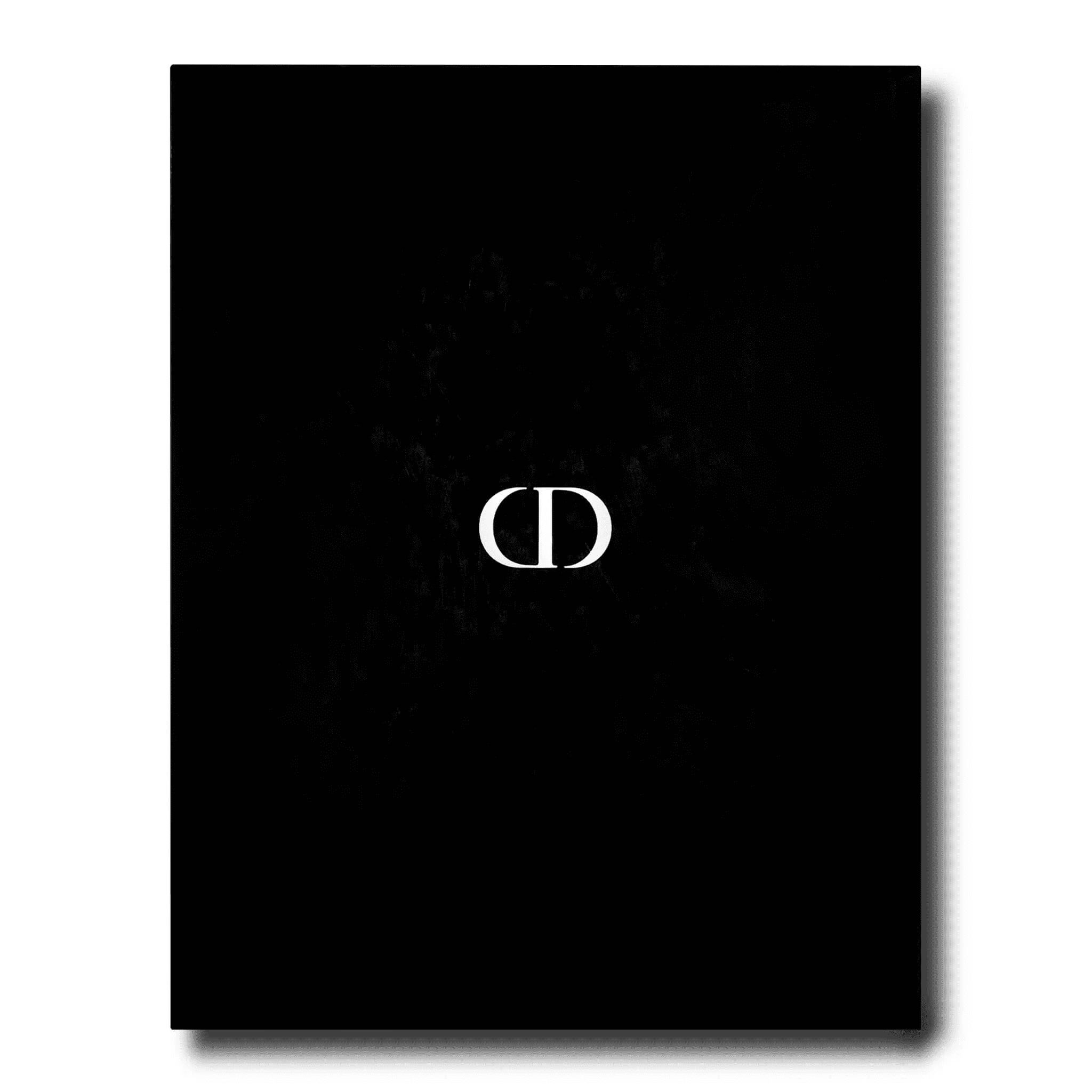 Dior by John Galliano | Assouline | Iris Gifts & Décor