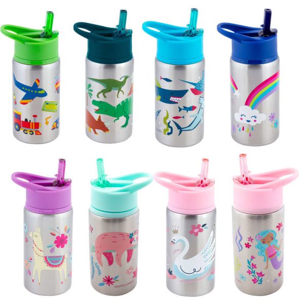 Stainless Steel Water Bottle