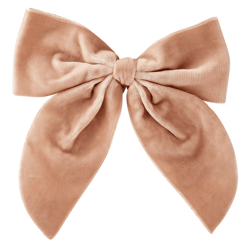 Velvet Napkin Ties – Blush Set of 4