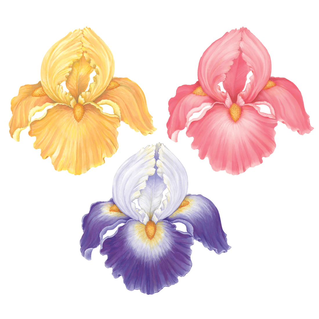 Die Cut Irises Placemat – 12 Sheets | Hester & Cook | Iris Gifts & Décor