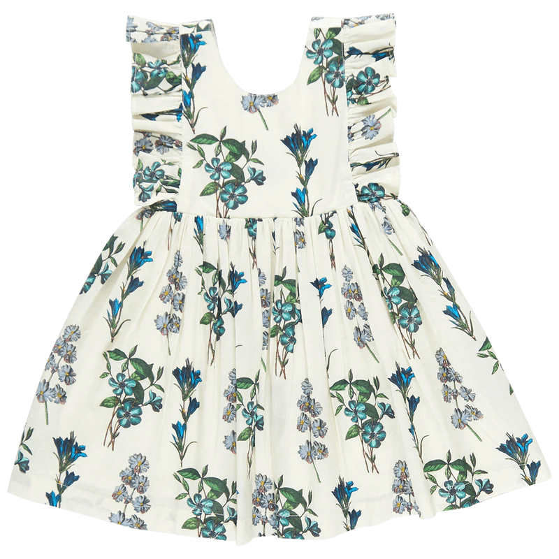 Marceline Dress-Blue Botanical | Pink Chicken | Iris Gifts & Décor