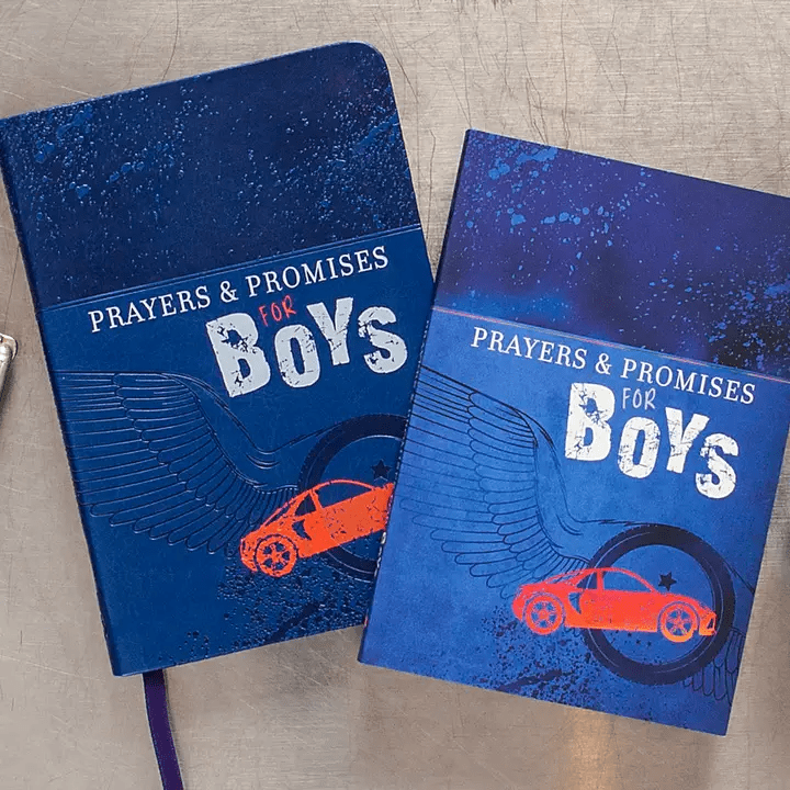 Prayers and Promises for Boys | Broad Street Publishing Group | Iris Gifts & Décor