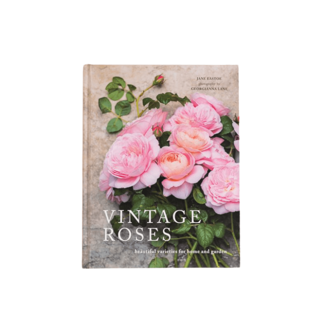 Vintage Roses | Iris | Iris Gifts & Décor